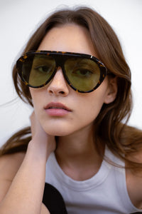 The Icon Tortoise