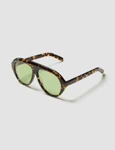 The Icon Tortoise